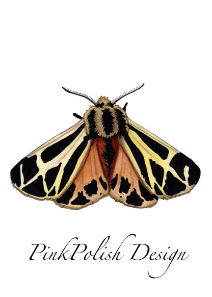 PinkPolish Design Art Prints "Tiger Moth " Watercolor Painting: Art Print
