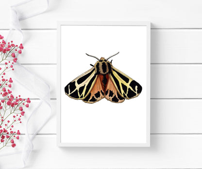 PinkPolish Design Art Prints "Tiger Moth " Watercolor Painting: Art Print