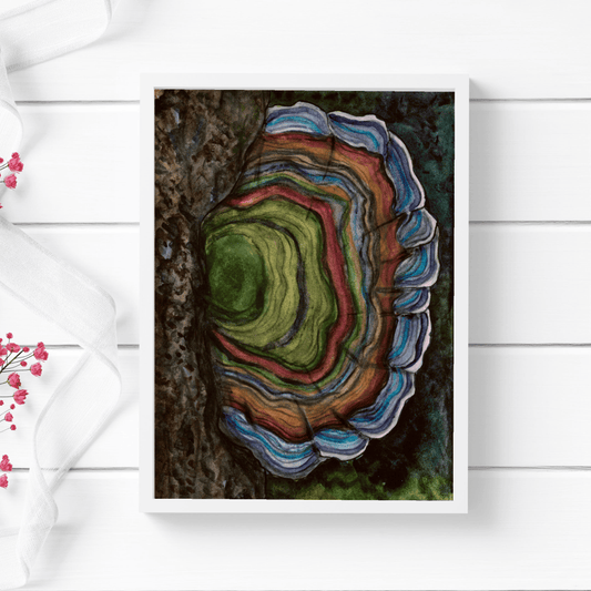 PinkPolish Design Art Prints "Turkey Tail"  Watercolor Painting: Art Print